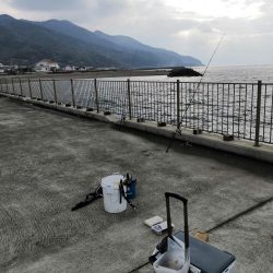 マコカレイ 38.0cm