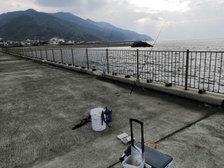 マコカレイ 38.0cm