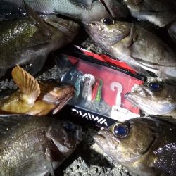 明けましておめでとうございます