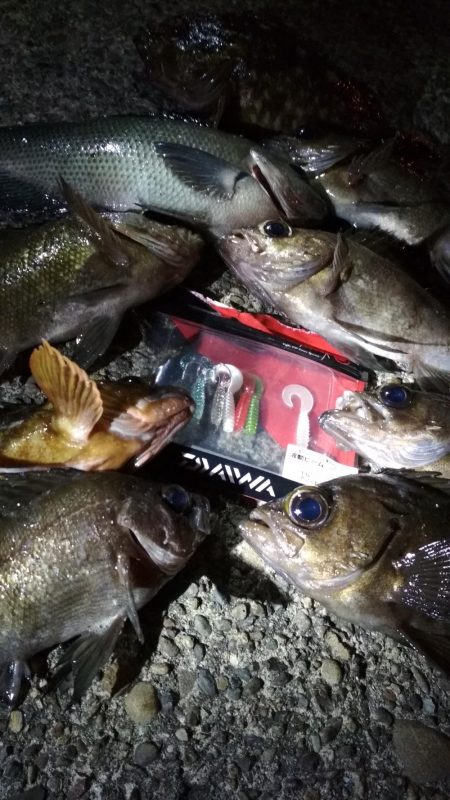 明けましておめでとうございます