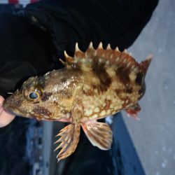 旅行のついでに