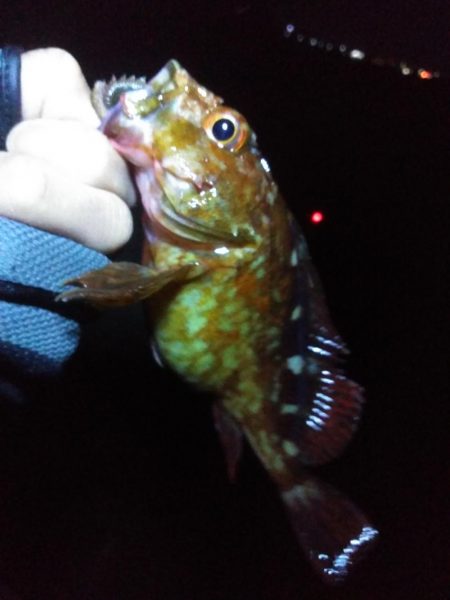 冬になってきました…