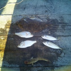 今年初の筏釣り。