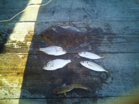 今年初の筏釣り。