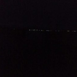 ヤリイカ 胴長32センチ!!