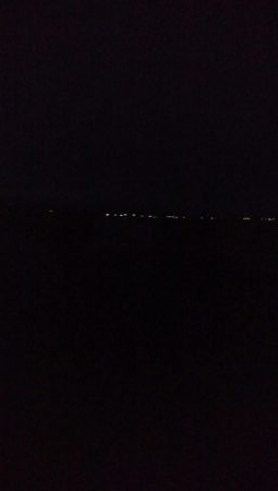 ヤリイカ 胴長32センチ!!