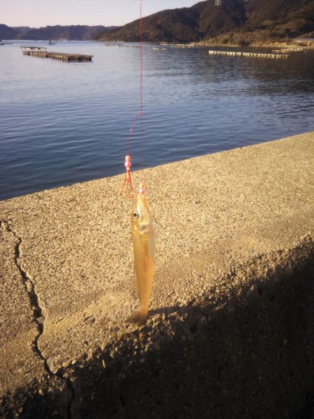 時間が空いたので。