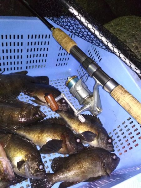 メバル☆MEBARU☆メバル