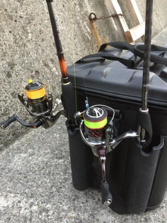 タルイチ通しでメバリング