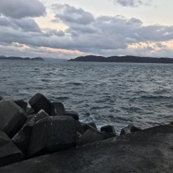 サワラ記録更新