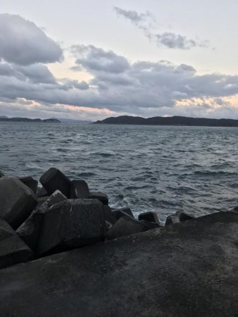 サワラ記録更新