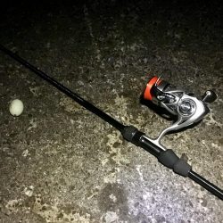 2019初メバリング!