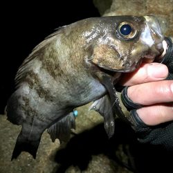 爆風雪極寒メバリング!