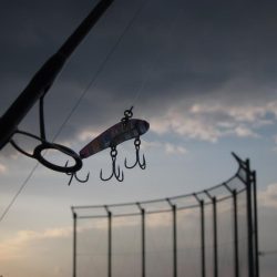 初めての青物GET!!