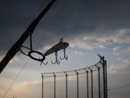 初めての青物GET!!