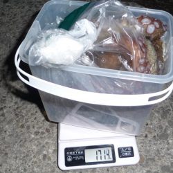 海からのお年玉w