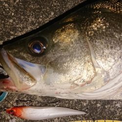 正月休み最後の朝練