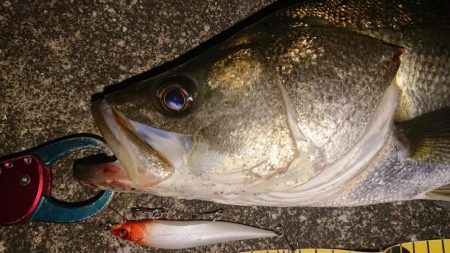 正月休み最後の朝練