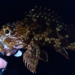 食品コンビナート ガシリング