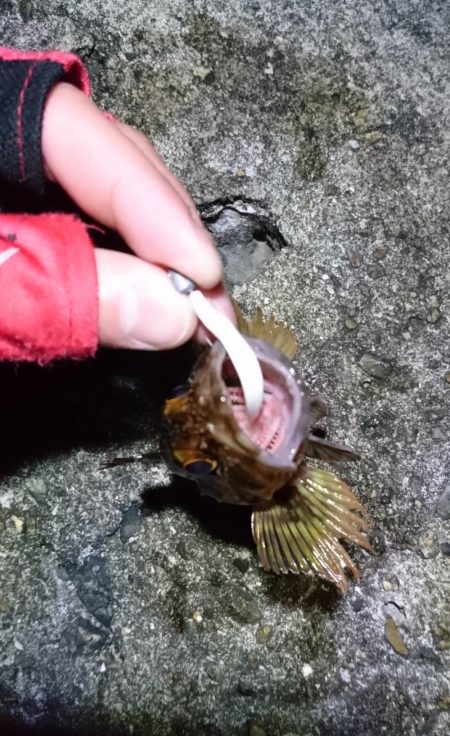 2019年初フィッシュと自己新記録