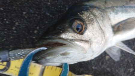 雨上がりの短時間夕練