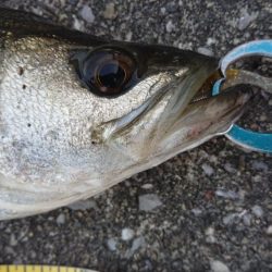 仕事帰りの短時間夕練！