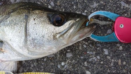 仕事帰りの短時間夕練！