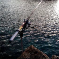 寒かったですが、何とか1杯キープでした!!