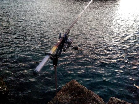 寒かったですが、何とか1杯キープでした!!