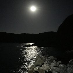 スーパームーンにほだされて冬イカ狙いのエギング釣行