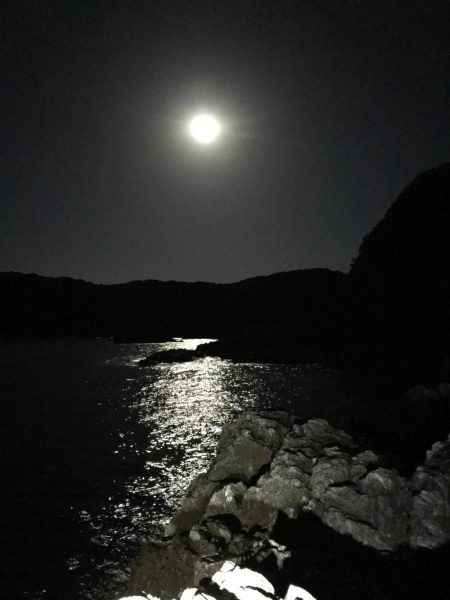 スーパームーンにほだされて冬イカ狙いのエギング釣行