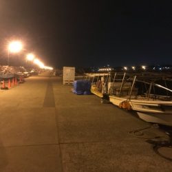 ジグ単で尺越えのタケノコメバル。