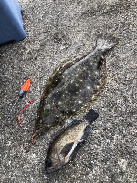 ガス波止投げ釣り