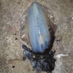 少し暖かくなった日和でした。