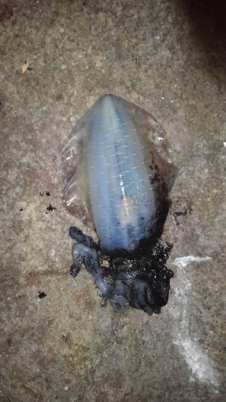 少し暖かくなった日和でした。