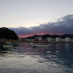 2019初釣り