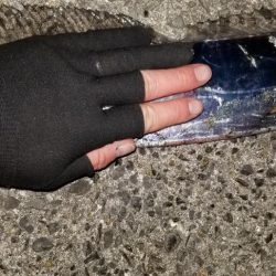 太刀魚ドラゴンとったどー！