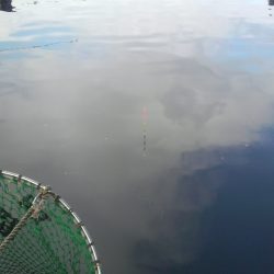 釣り初め 今年大丈夫??