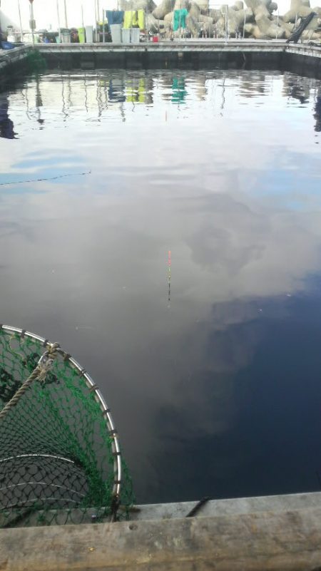 釣り初め 今年大丈夫??