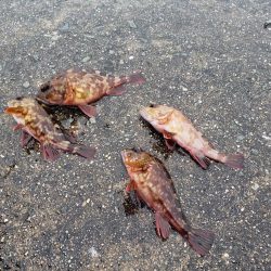 今年初淡路島へ・・・