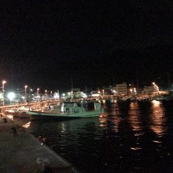 風強すぎました