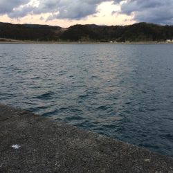 2019初ショアジギ