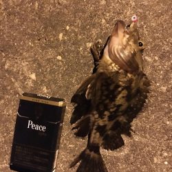 常夜灯の近くで