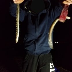 初釣行で・・・