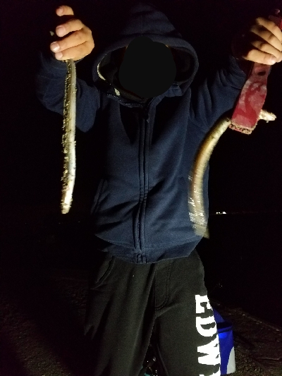 初釣行で・・・