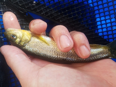 五目釣り　～冬はチョット釣りにくい～