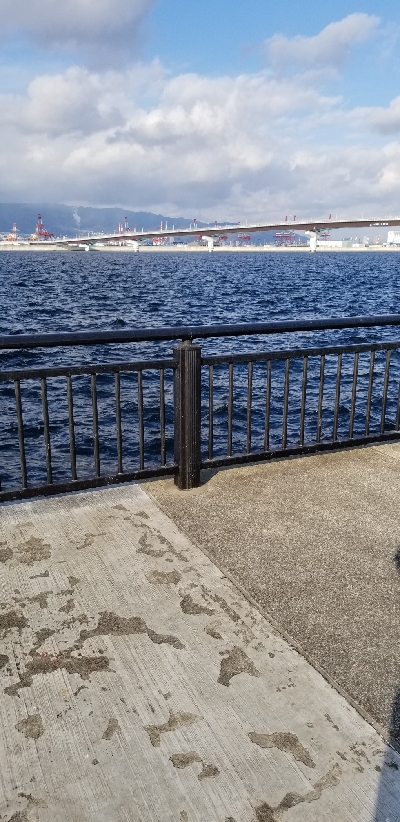 まだ居てました❗