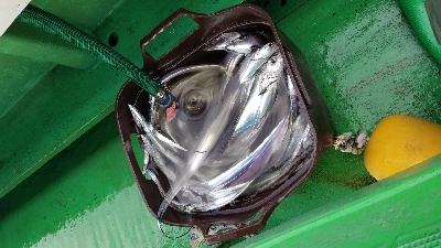 ドラゴンを求めて