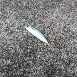 気嵐のサバチャン