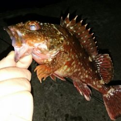 渋いアフターメバリング